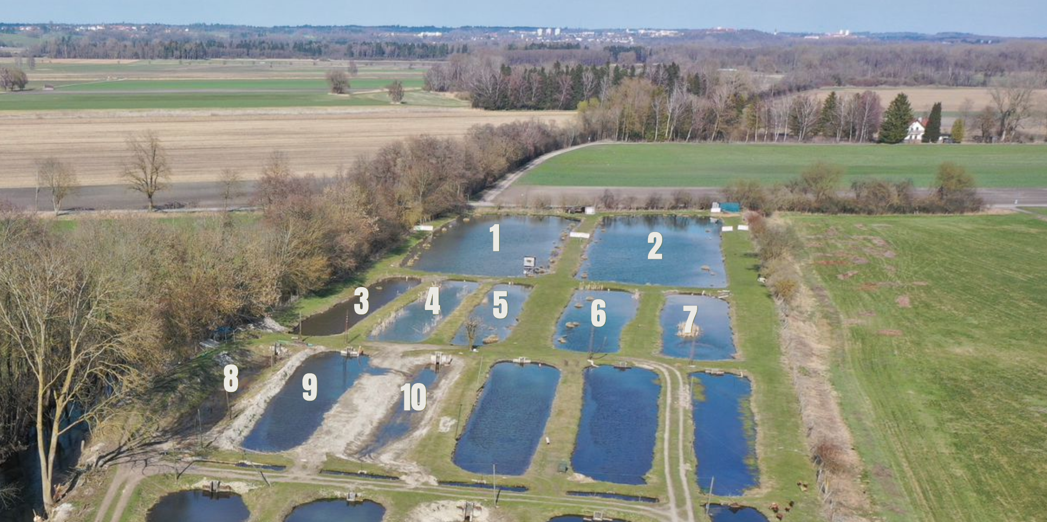 Unsere weiteren Fischweiher