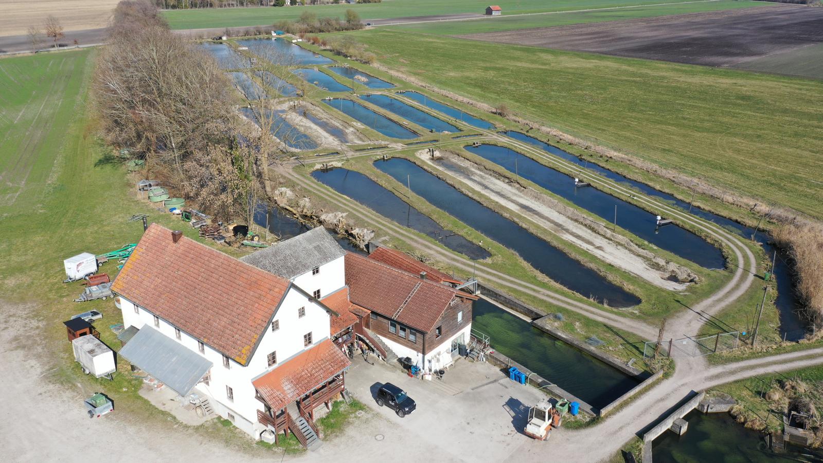 Übersicht Fischzucht Moosmühle